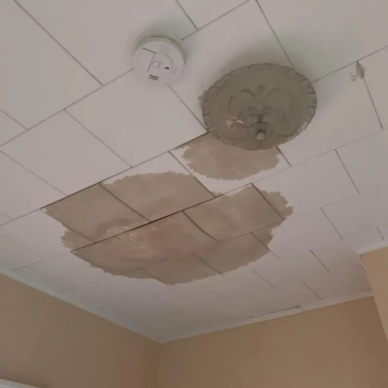 Ceiling Water Damage Repair in Gilbert Creek, WV