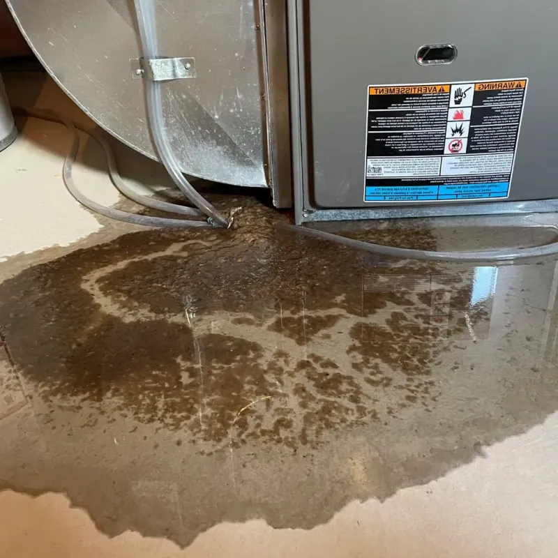 Pipe Burst and Leak Restoration in Gilbert Creek, WV