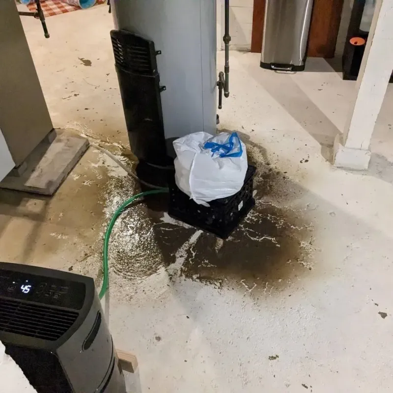 Sewage Backup Cleanup Service in Gilbert Creek, WV